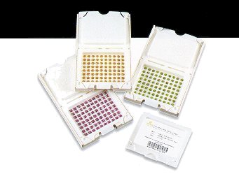 Swarogem stone packaging